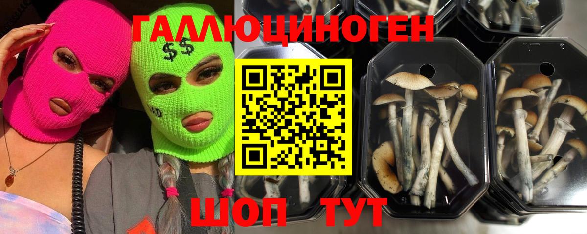 Биробиджан  Галлюциногенные грибы мухоморы  Псилоцибиновые грибы мухоморы  как найти закладки  Вход с VPN 